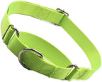 Hotlion black no-slip collar for large dogs lifestyle shot