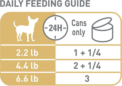 USA sourced Royal Canin dog food for adult Chihuahuas highlighting the palatable loaf formula