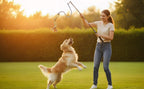 DIBBATU interactive flirt pole dog toy setup with nylon cord and rope