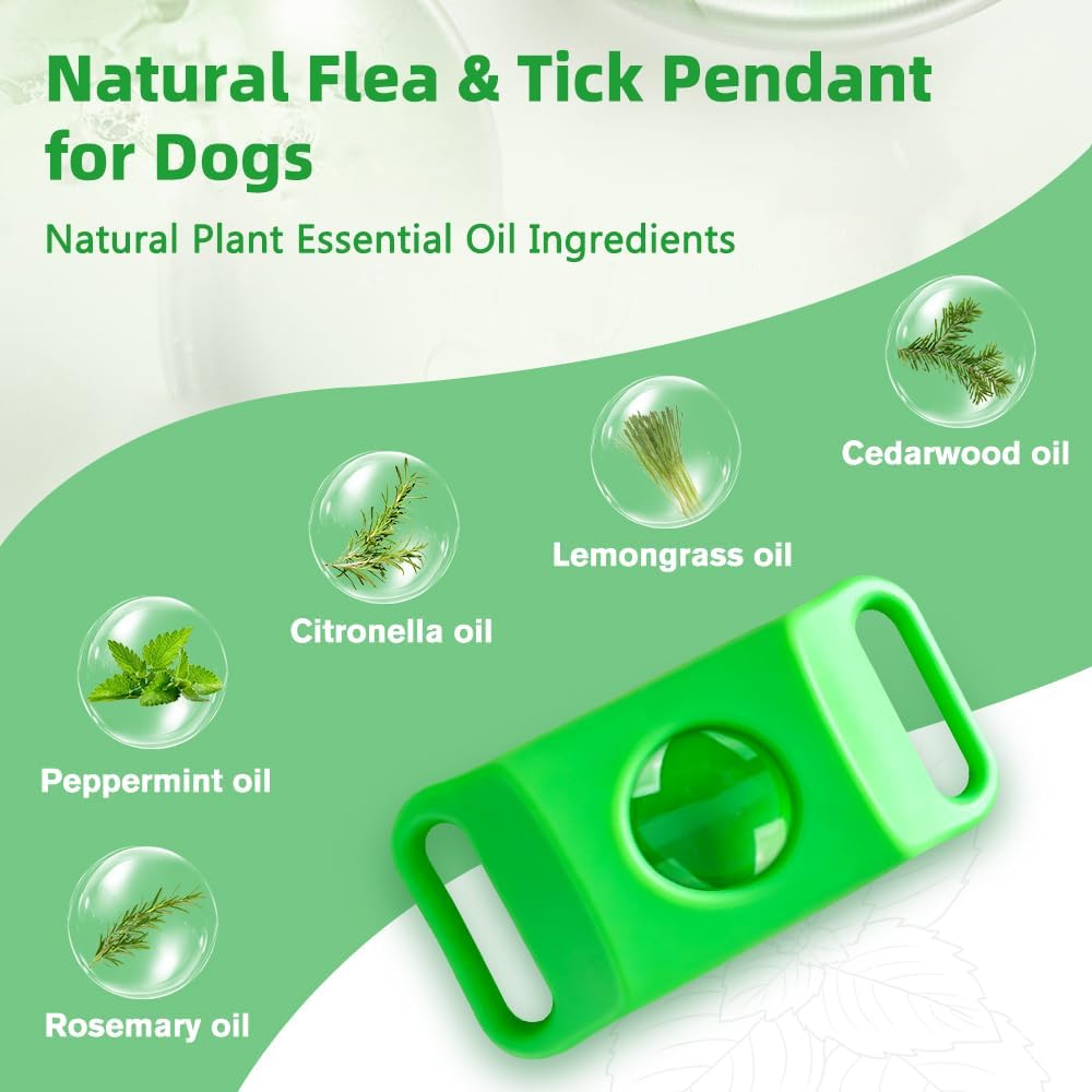 Hoelesky waterproof dog tag attached to a canine collar