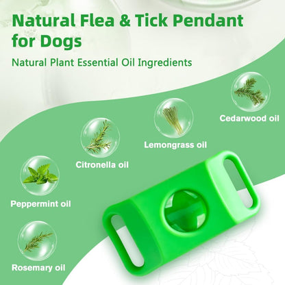 Hoelesky waterproof dog tag attached to a canine collar