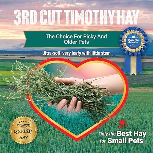 Small Pet Select 3rd Cutting Timothy Hay open box view