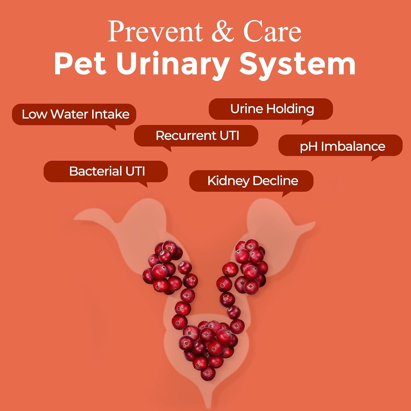 Nature Target by Legitpet dog urinary tract supplement health facts