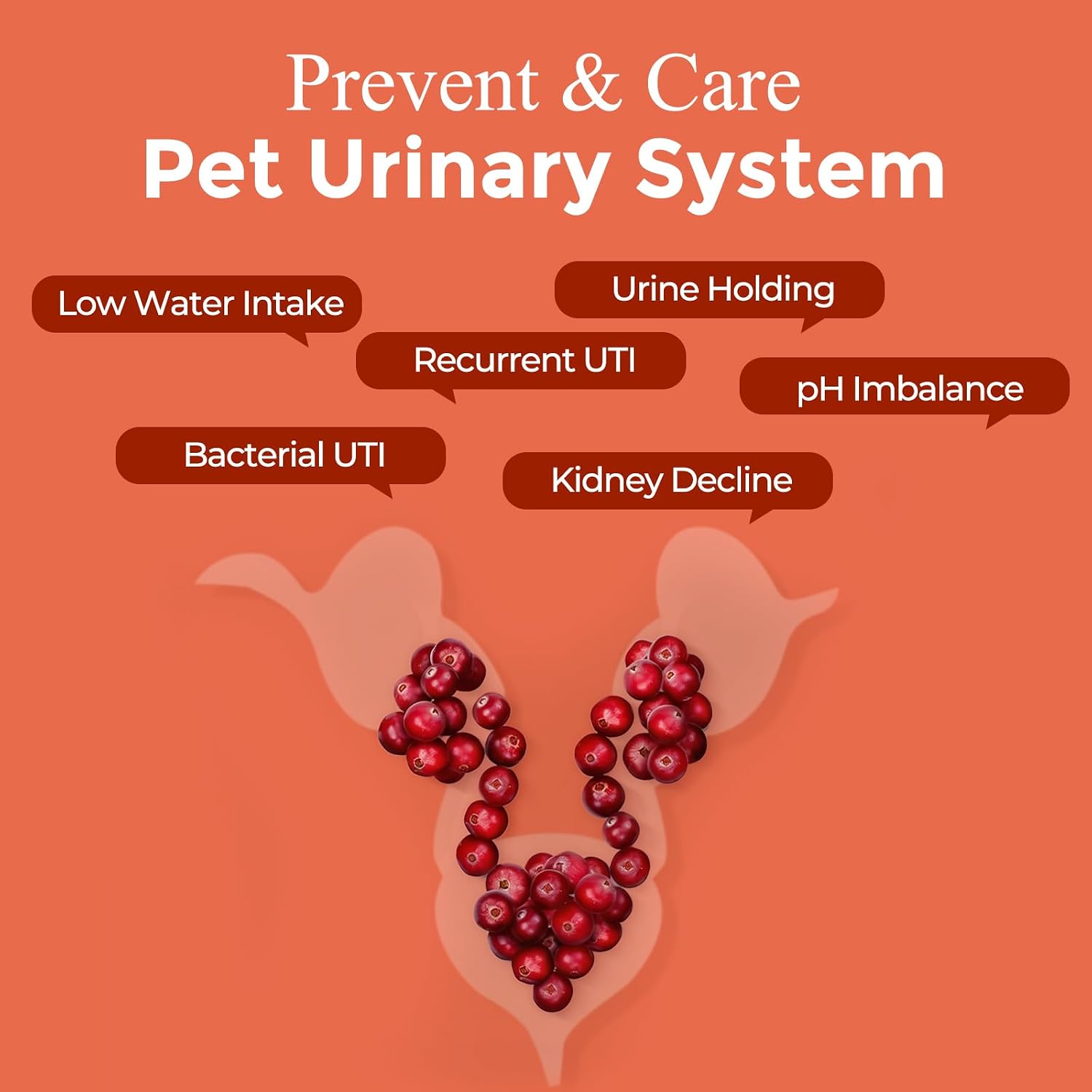 Nature Target by Legitpet dog urinary tract supplement health facts