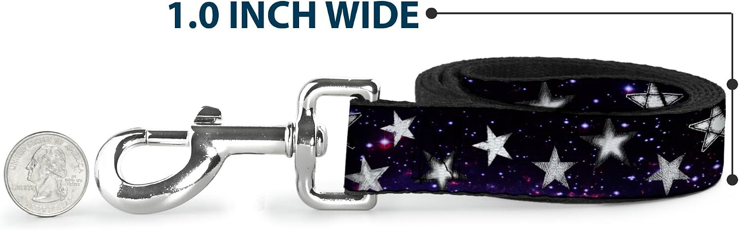 Buckle-Down branded stainless steel hardware on leash