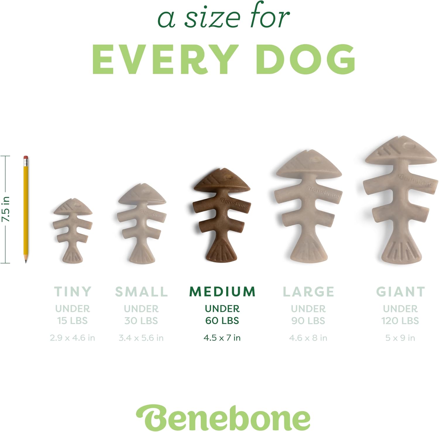 Benebone Fishbone Durable Dog Chew Toy for Aggressive Chewers, Real Fish, Made in USA, Medium - Image 4