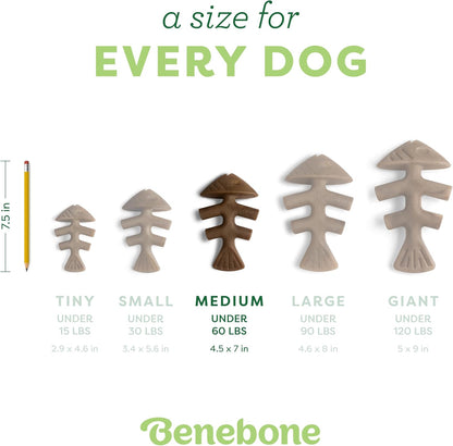 Benebone Fishbone Durable Dog Chew Toy for Aggressive Chewers, Real Fish, Made in USA, Medium - Image 4