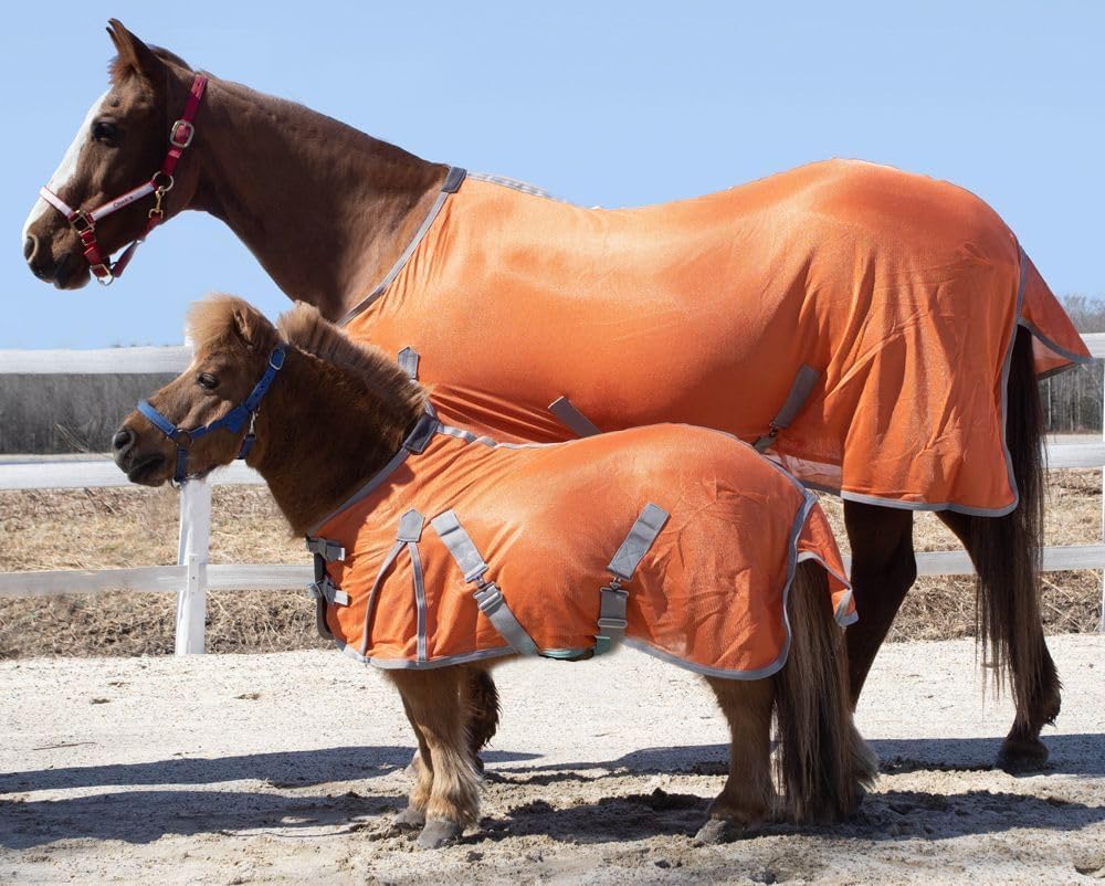 Rugged Ride orange horse sheet with grey trim displayed on a standing horse in a pasture.