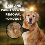 Creative Science livestock and pet wart remover container back