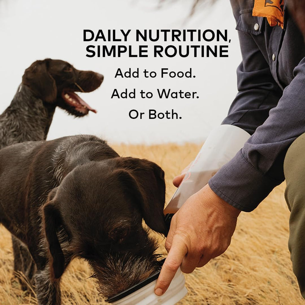 Authentic imported pet health supplement for canine immune system support