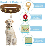 Close up of Delorigin pet collar charm lobster clasp