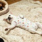Paipeper abdominal wound protection onesie for male and female small dogs