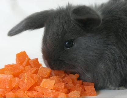 Exotic Nutrition natural dried papaya snacks close up view detailing diced fruit cubes.