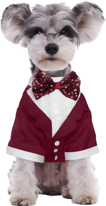 A medium sized dog sitting comfortably while wearing the skin friendly cotton blend pet suit.