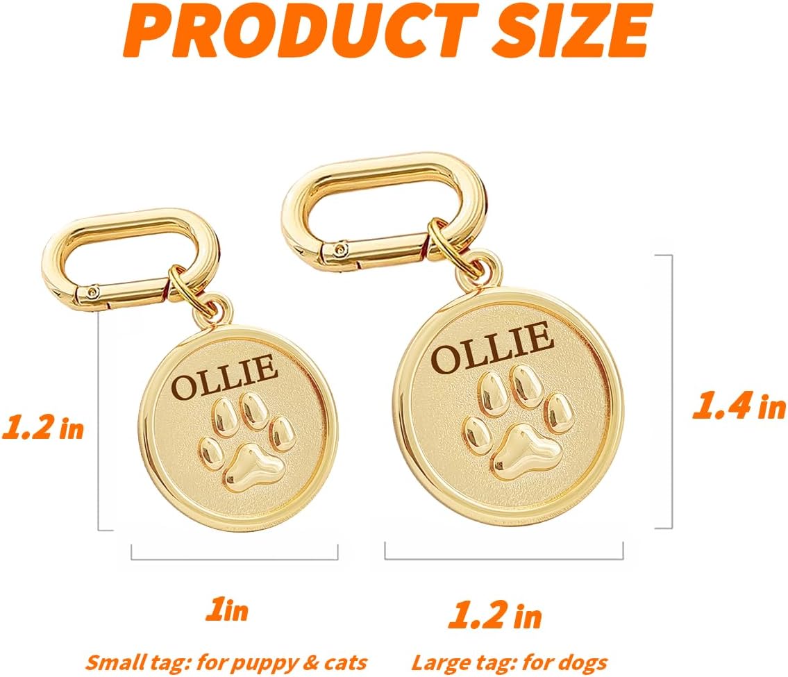 Engraved stainless steel cat name tag with secure lobster clasp attachment.
