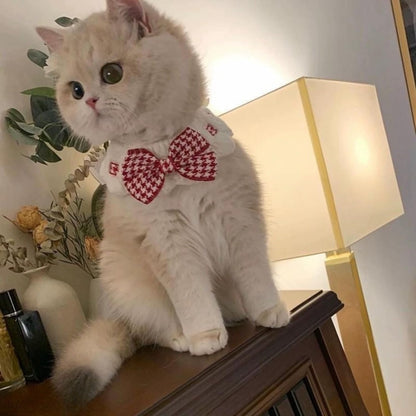 Jatmira cat floral bow tie collar front view