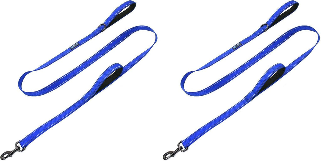 Max and Neo double handle dog leash lifestyle display in teal