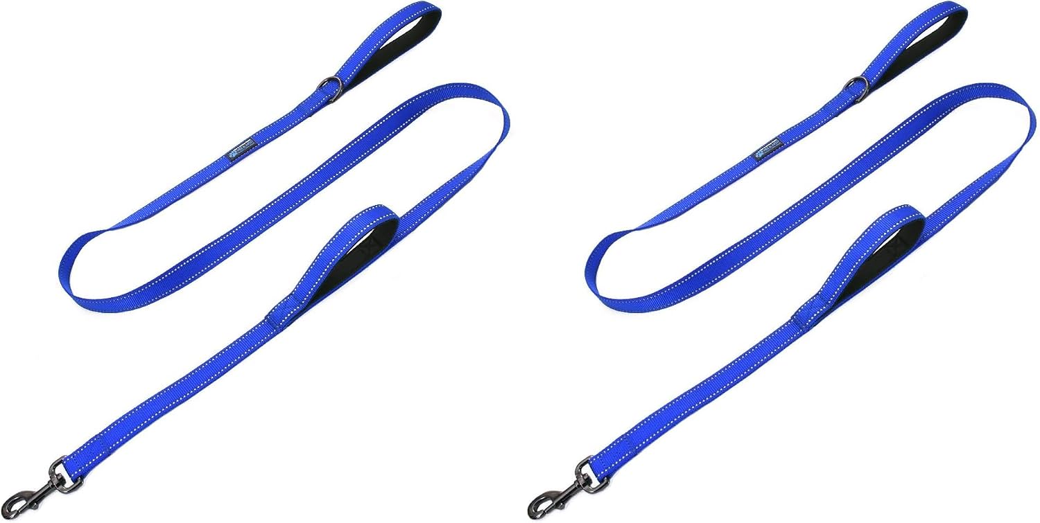 Full length view of Max and Neo reflective traffic dog leash