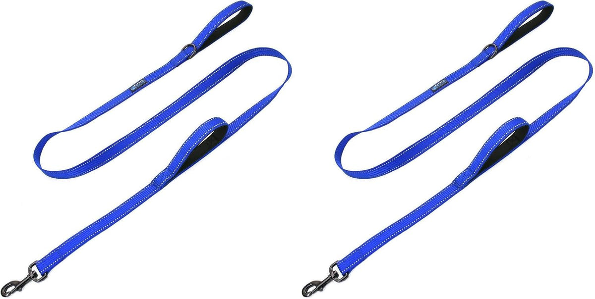 Max and Neo double handle dog leash lifestyle display in teal