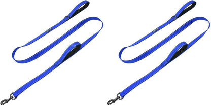 Full length view of Max and Neo reflective traffic dog leash