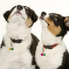 Assorted golden alloy charms for dog and cat accessories