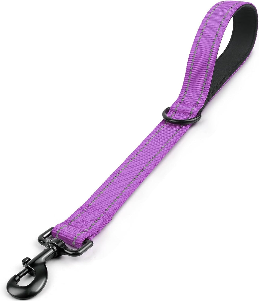 Joytale premium imported dog traffic lead packaging and components view