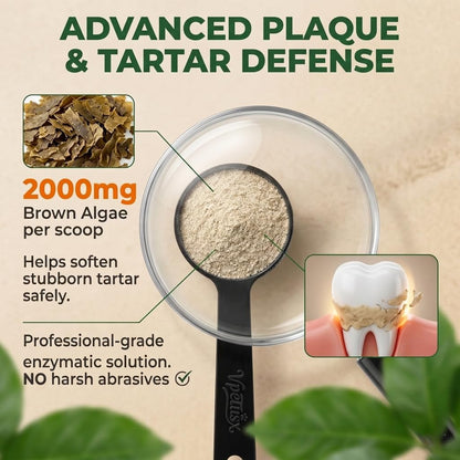 Dog dental supplement powder sprinkled on kibble