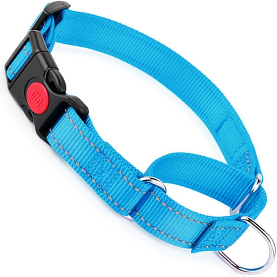High visibility reflective safety collar for secure outdoor pet walking