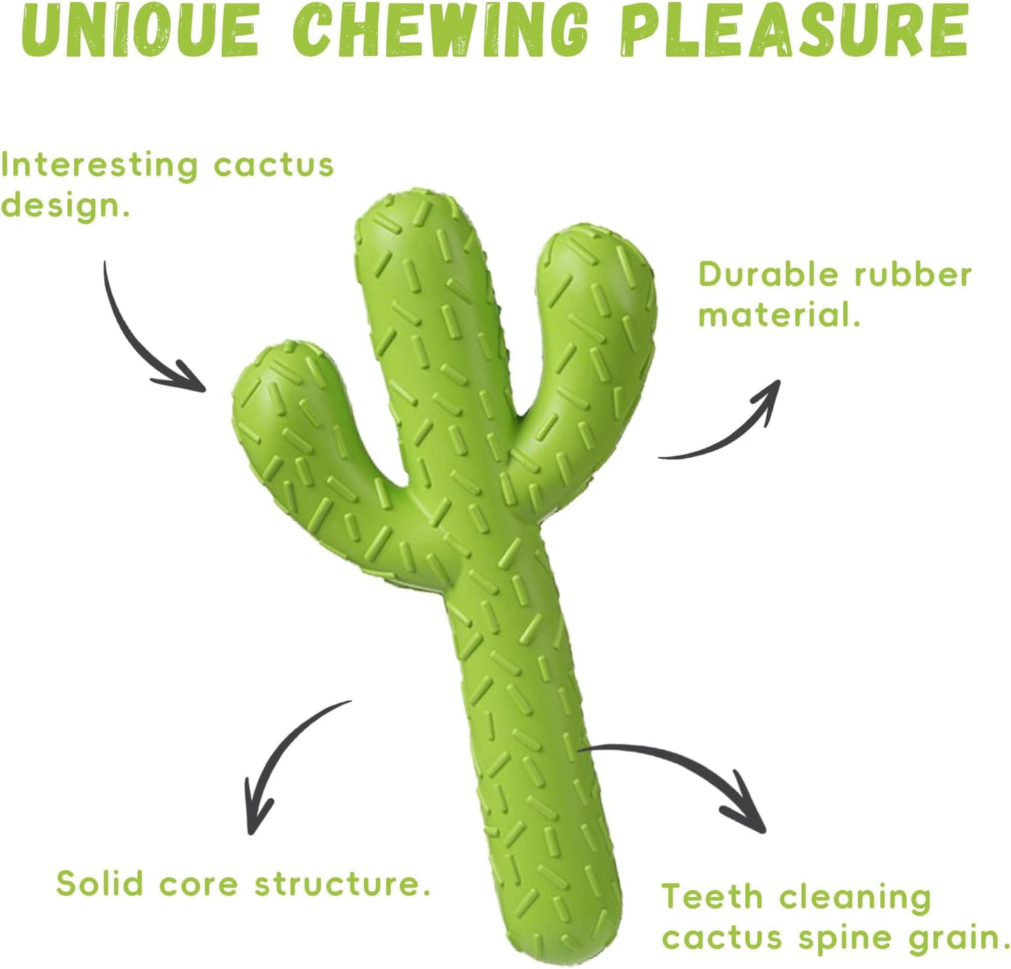Large dog breed playing with MewaJump cactus rubber toy