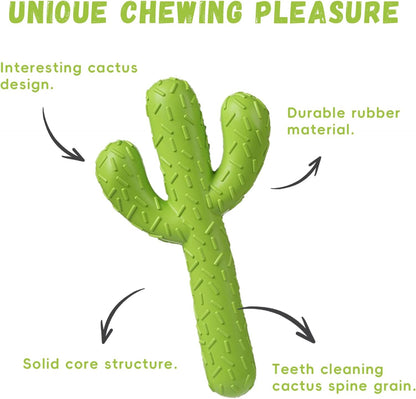 Large dog breed playing with MewaJump cactus rubber toy