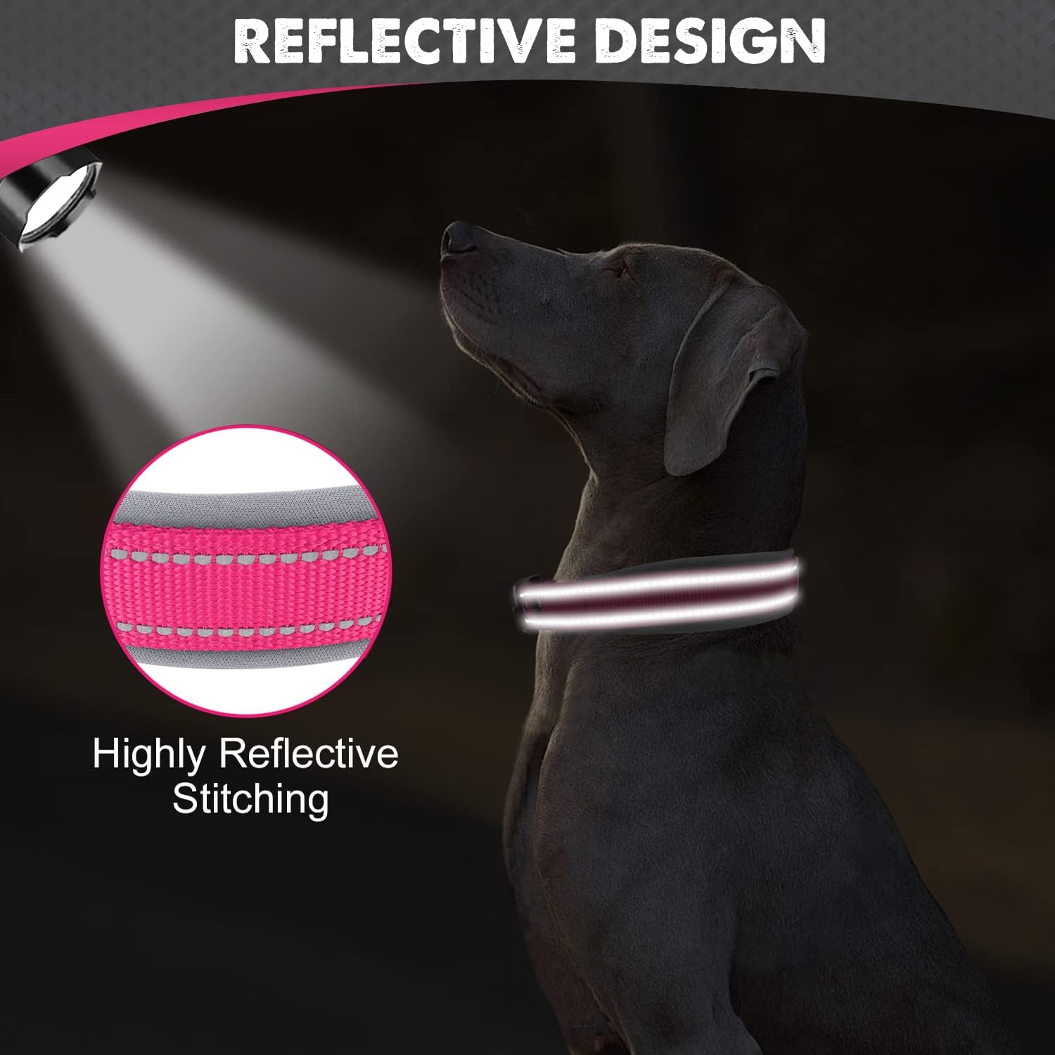 Joytale reflective nylon dog collar side profile