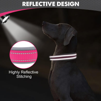 Joytale reflective nylon dog collar side profile