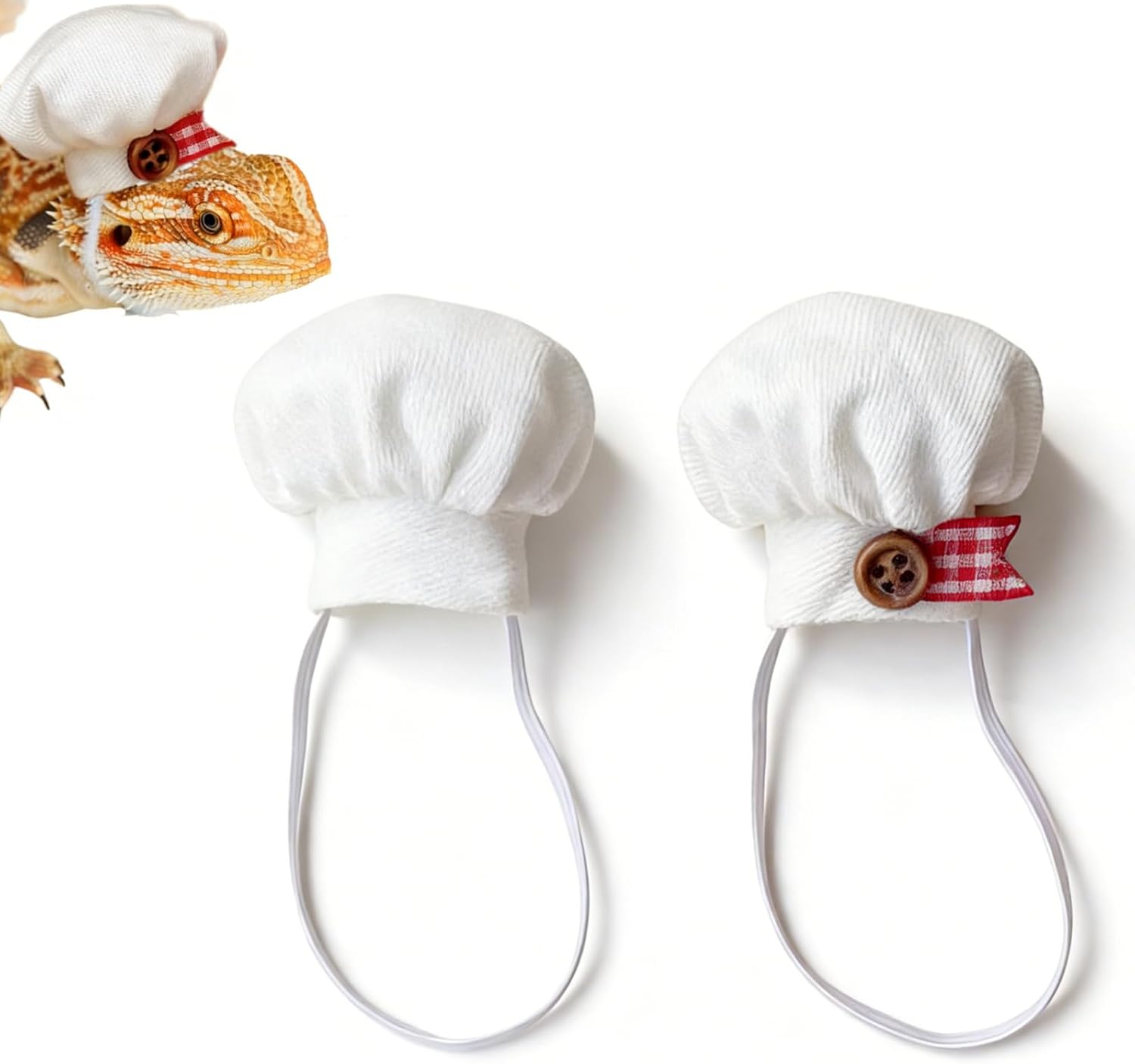 Selxran bearded dragon chef hats front view on small pet reptile