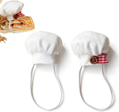 Selxran bearded dragon chef hats front view on small pet reptile