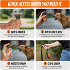 Handheld dog repellent spray for outdoor safety