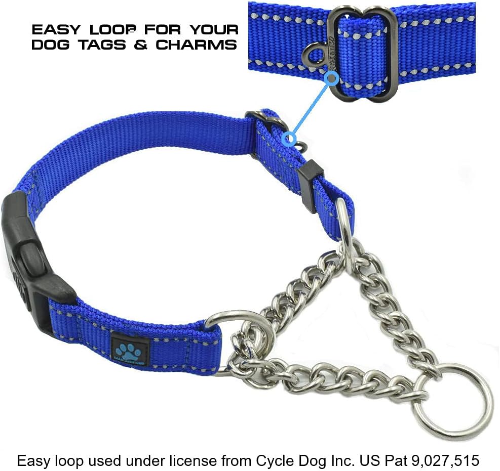 Close up of Max and Neo martingale collar locking buckle and chain
