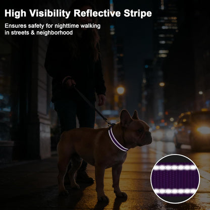 Dual D-rings on Taglory safety dog collar