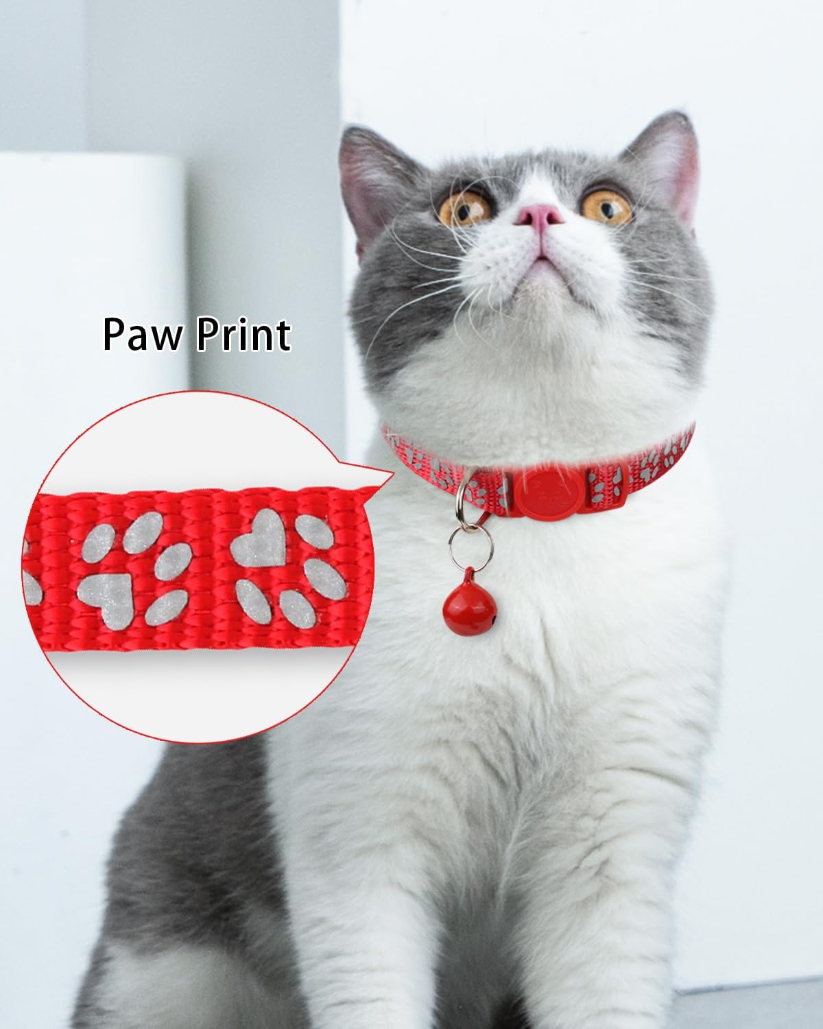 TagME custom engraved feline collar with high visibility reflective paw print patterns