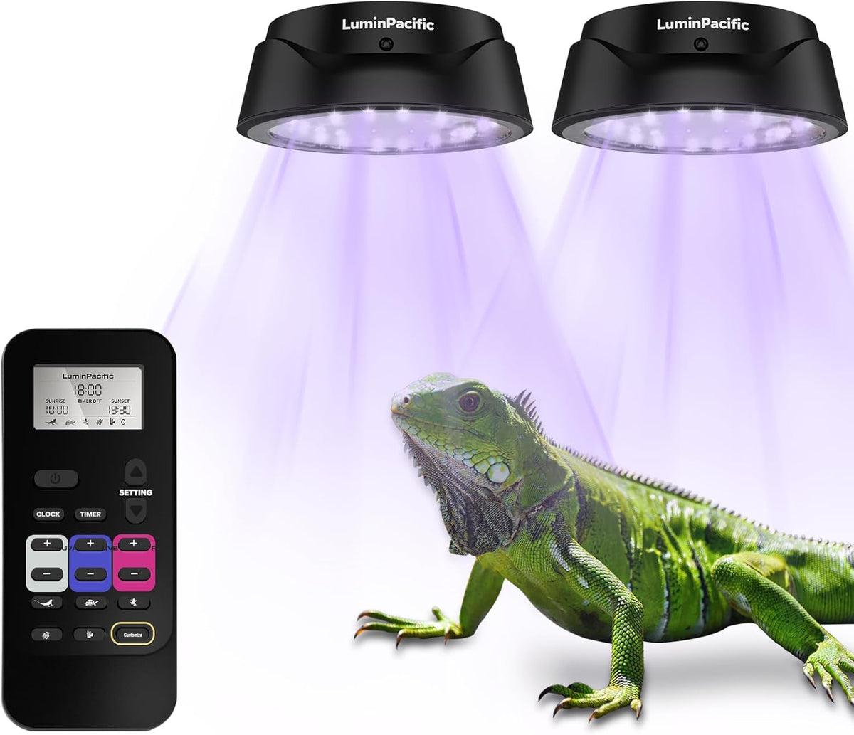 UVB Reptiles Light with Remote, UVA UVB FR Lamp for Rainforest & Desert Reptiles, Ferguson Zones 1-4, Timer Switch, 10 Dimmable, for Bearded Dragon, Turtle, Frog, Snake, Plant (1 Pack) - Image 9