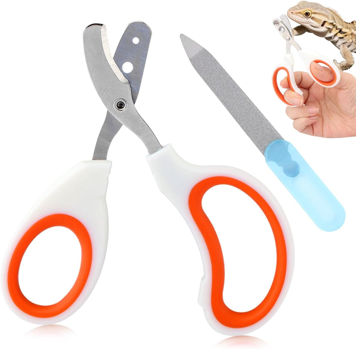 Ranjaner bearded dragon nail clippers front view professional reptile grooming accessory