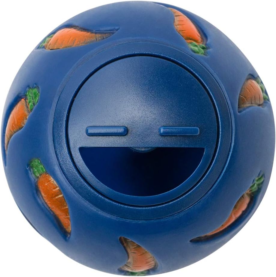 Small pet guinea pig exploring the Niteangel snack ball