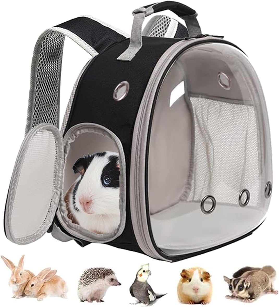 Guinea Pig Carrier Backpack, Clear Bubble Window Backpack for Guinea Pig, Bunny Rat Bird (Black, Carrier) - Image 9