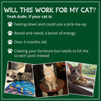 Cat Kush organic catnip dried herbal blend texture