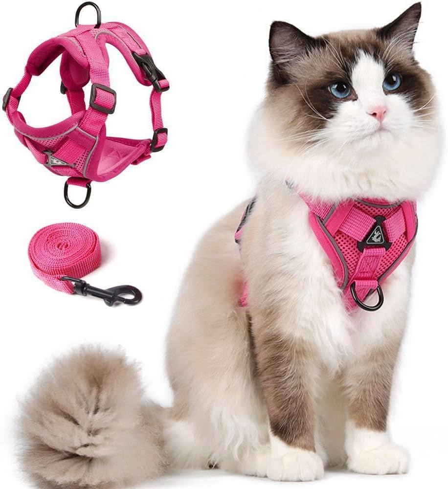 Skmeditec Cat Harness and Leash Set: Upgraded Escape Proof Vest with Lead for Large Cat Small Dog Puppy Walking, Soft Jacket with Reflective Strips L2 Size Blue - Image 14