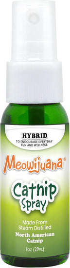 Meowijuana catnip spray packaging and bottle layout