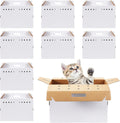 Kisston cardboard pet carrier front view with ventilation holes