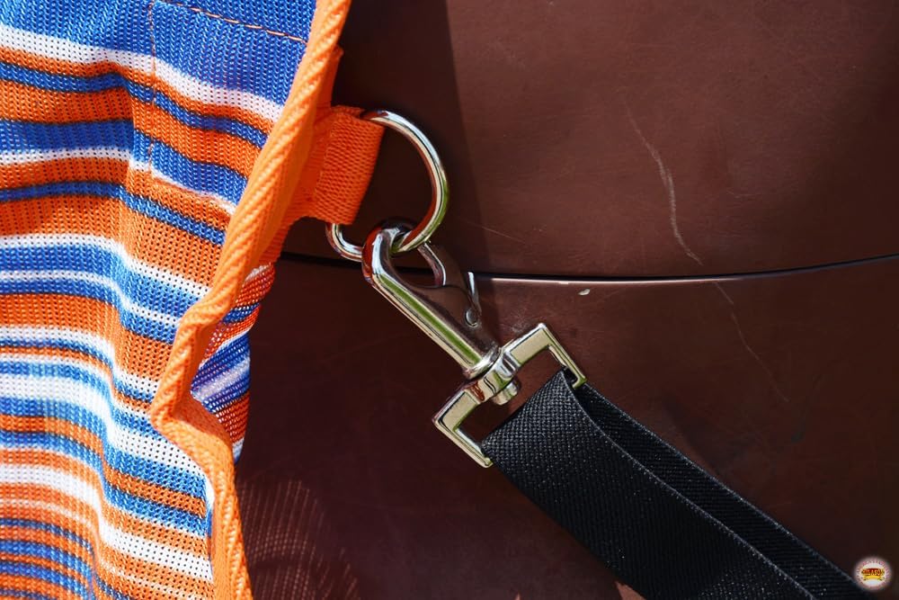 Hilason equestrian fly sheet demonstrating the adjustable belly wrap closure.