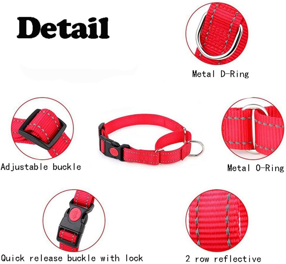 Cyhaen medium size no pull training cinch collar close up detail