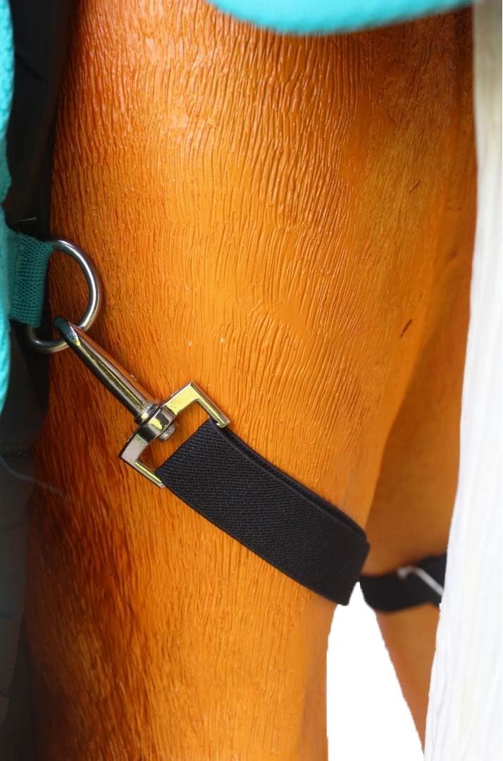 Challenger 1200D waterproof turnout blanket teal side profile