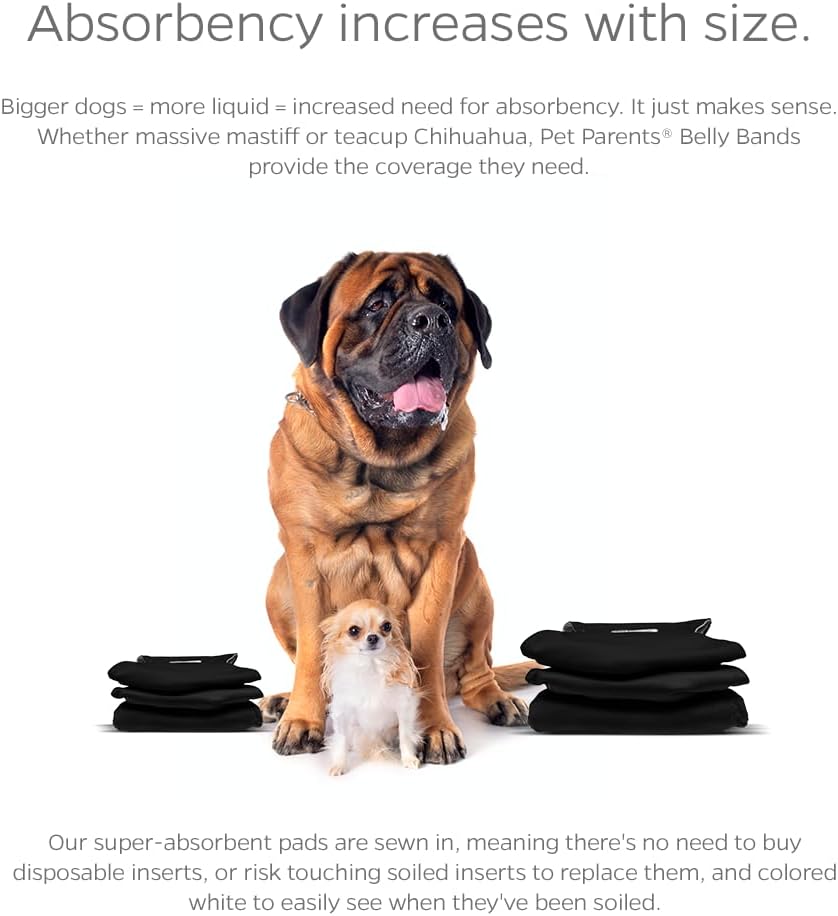 Inner white absorbent lining of the Pet Parents WickQuick male dog wrap